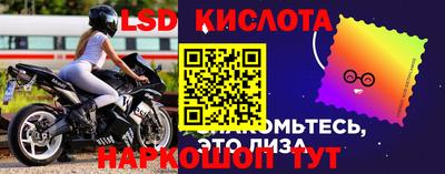 прущие грибы Моздок