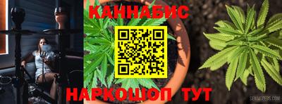 прущие грибы Моздок