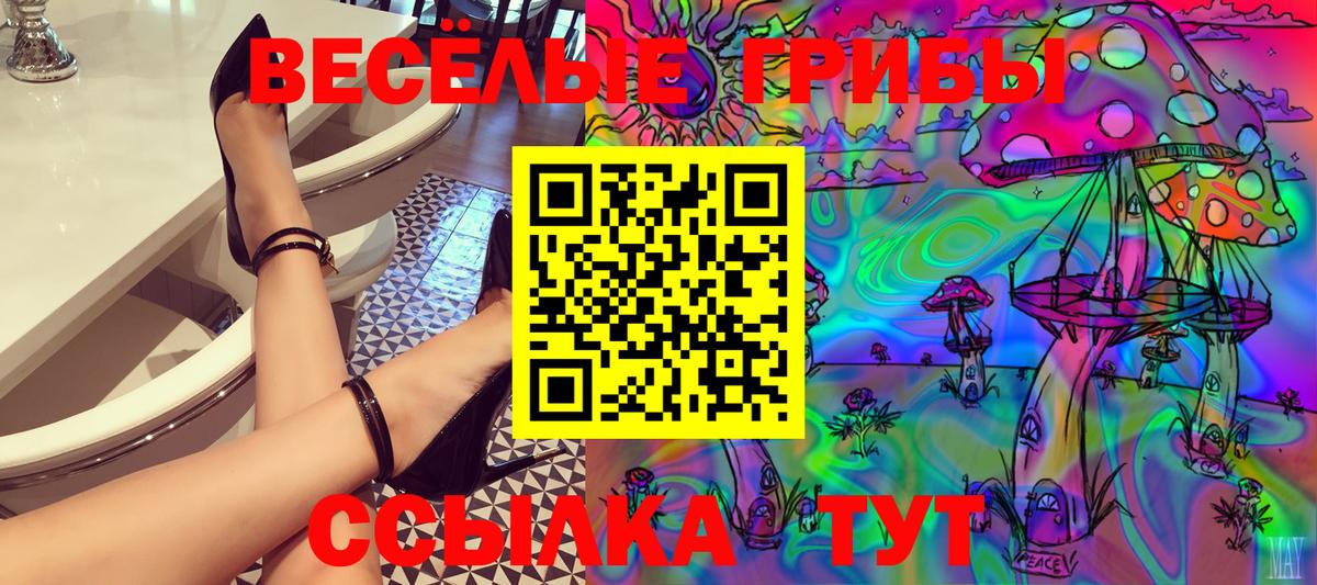 Чита  Псилоцибиновые грибы мухоморы  Вход с VPN 